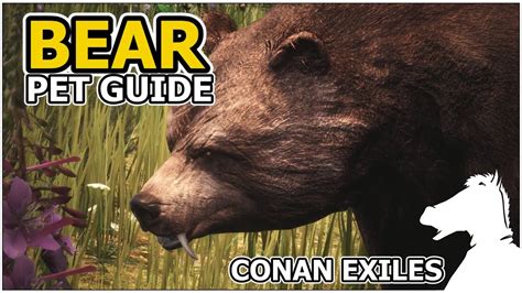 Conan exiles bear food - Pages in category "Pets" The following 200 pages are in this category, out of 291 total. (previous page) ()